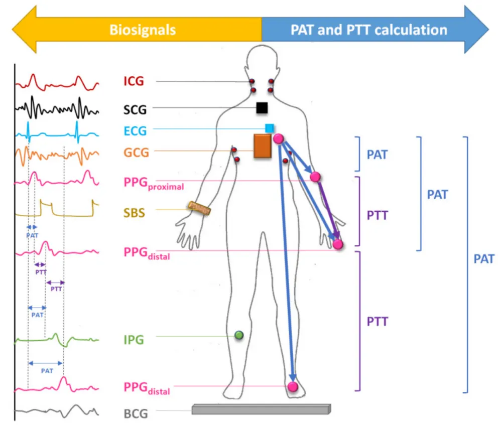 AI in Medical Devices dashboard and biosignal analysis